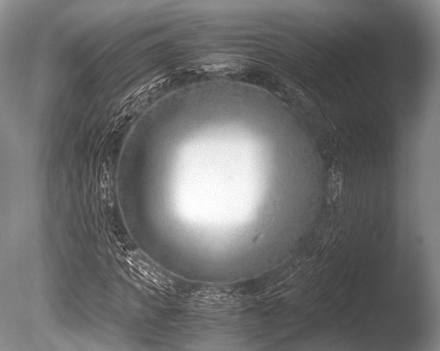 X0000086310917200703301146