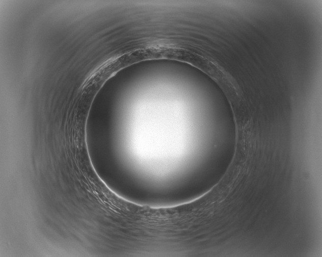 X0000086310919200703301147