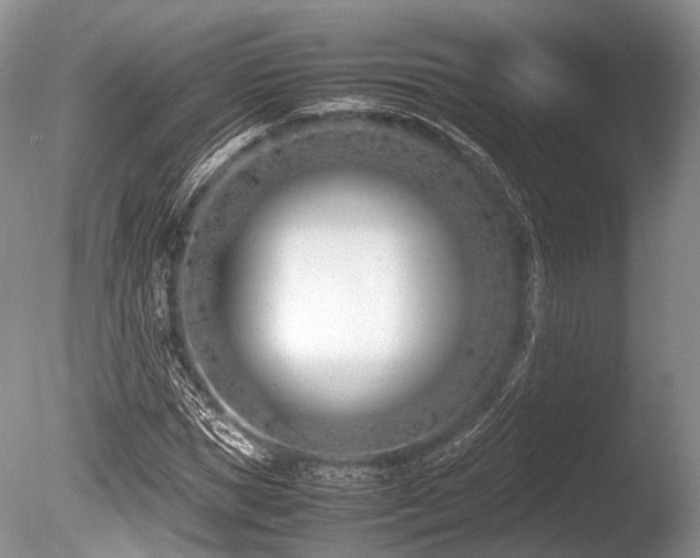 X0000086310921200703301147
