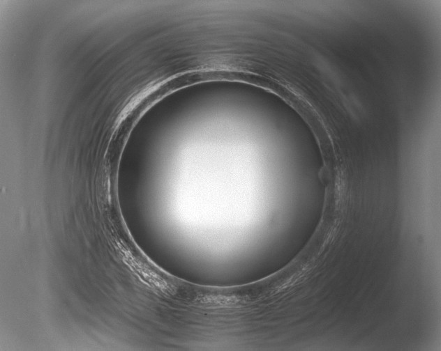 X0000086310925200703301147