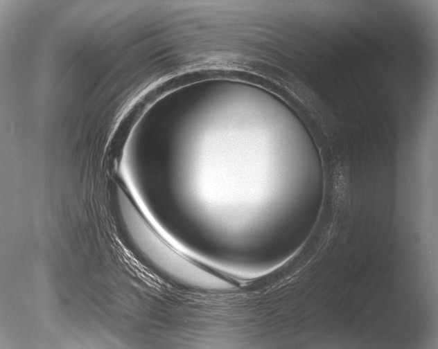 X0000086310926200703301147