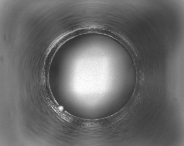 X0000086310927200703301147