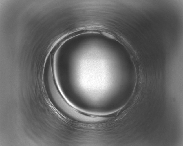 X0000086310932200703301147