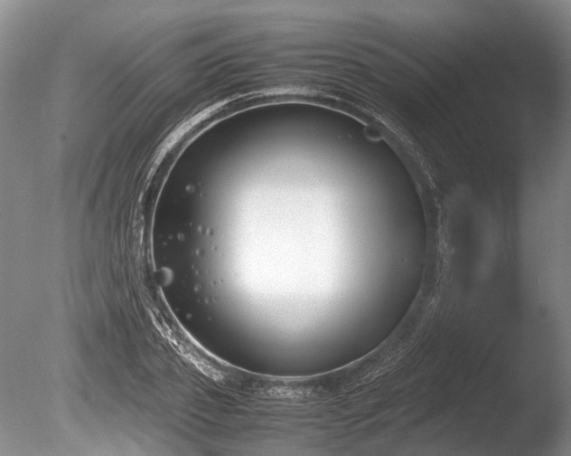 X0000086310933200703301147