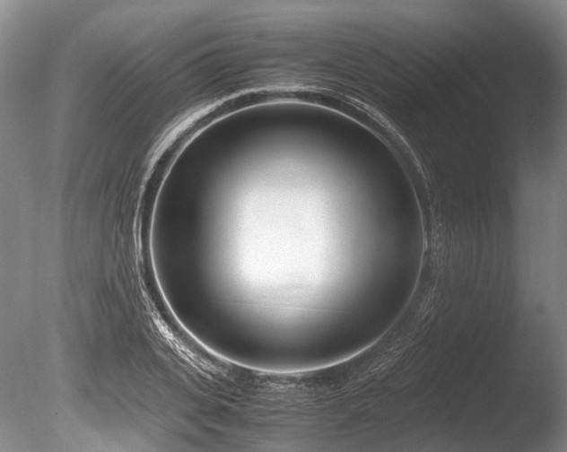 X0000086310935200703301147