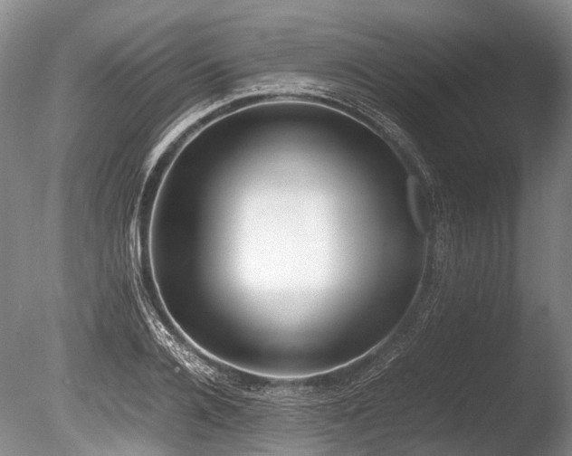 X0000086310936200703301147