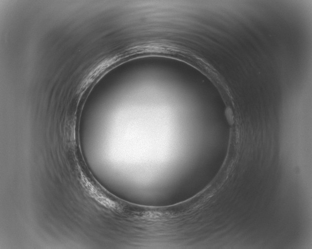 X0000086310938200703301147