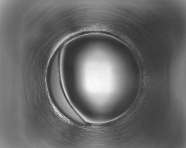 X0000086310942200703301147