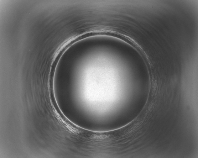 X0000086310943200703301147