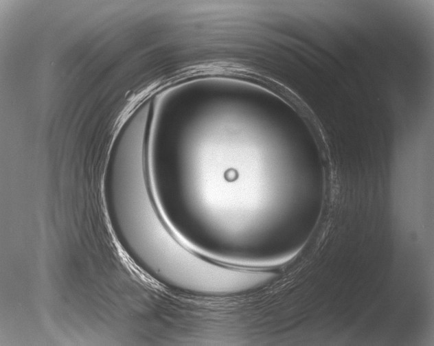 X0000086310946200703301147