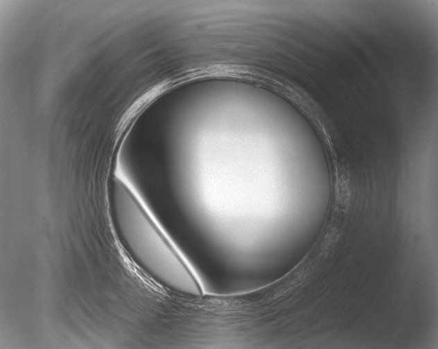 X0000086310954200703301147