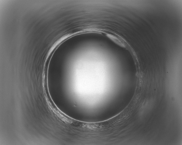 X0000086310955200703301147