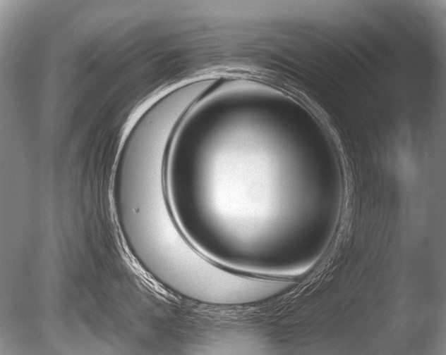 X0000086310960200703301147