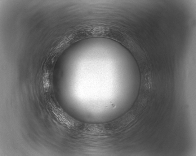 X0000086310962200703301146
