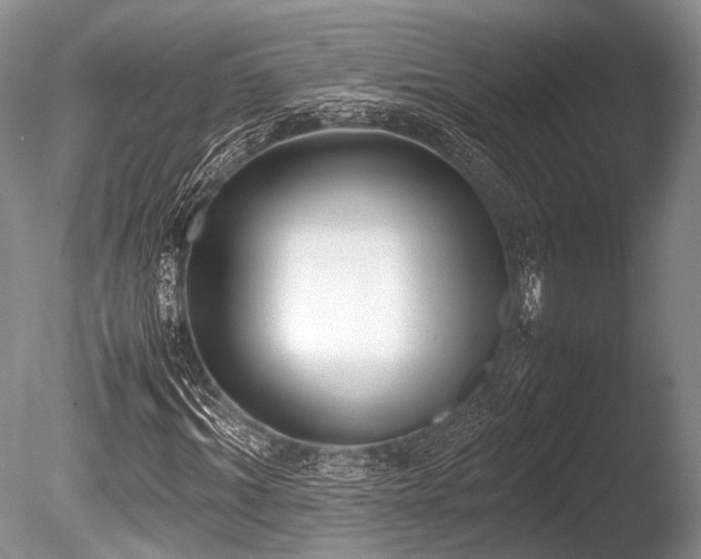 X0000086310964200703301146