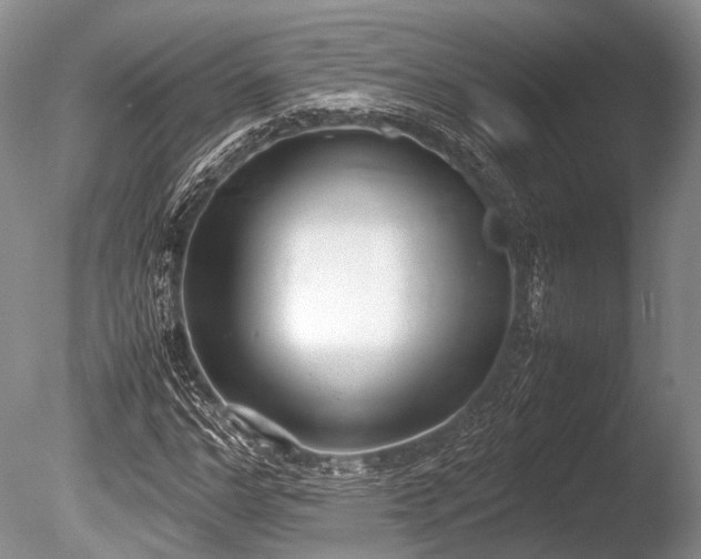 X0000086310968200703301146