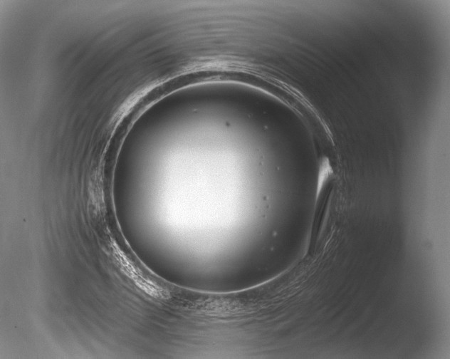 X0000086310972200703301146