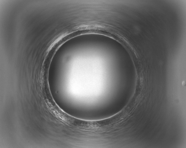 X0000086310975200703301146