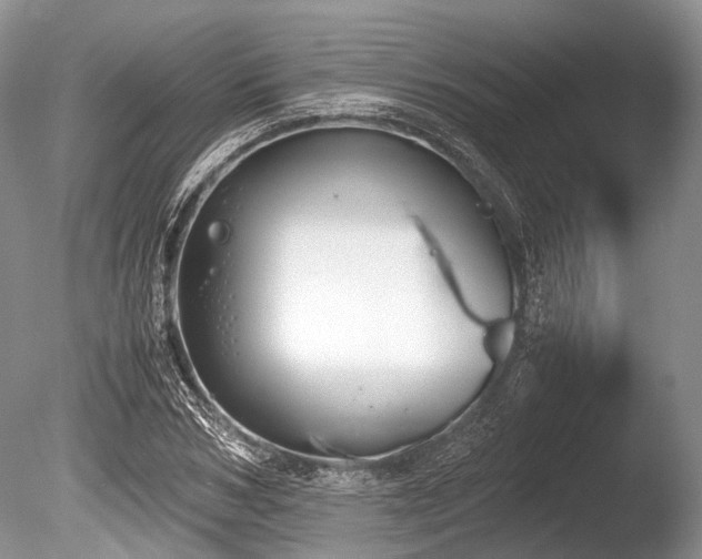 X0000086310978200703301146