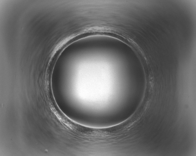 X0000086310981200703301146