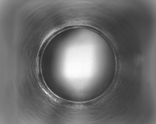 X0000086310982200703301146