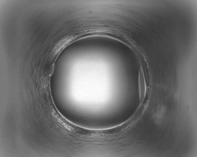 X0000086310985200703301146