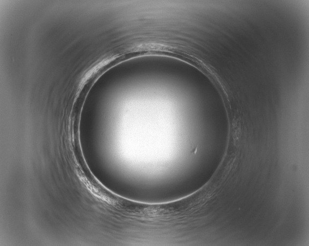 X0000086310987200703301146