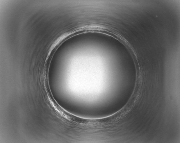 X0000086310989200703301146