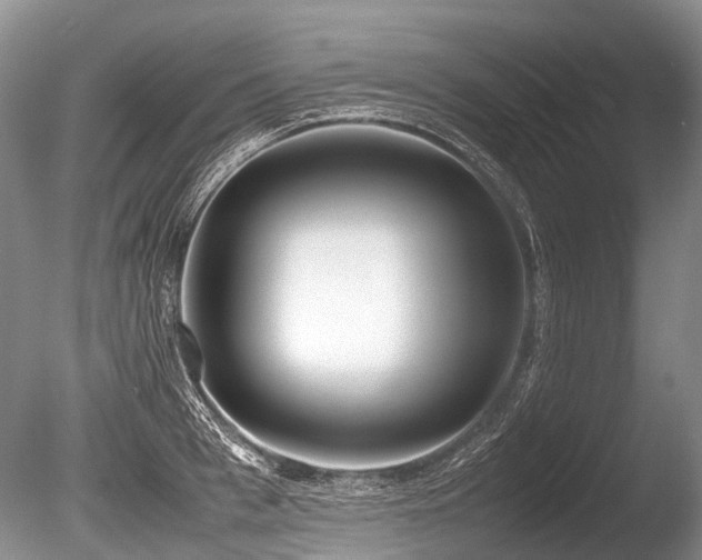 X0000086310993200703301146