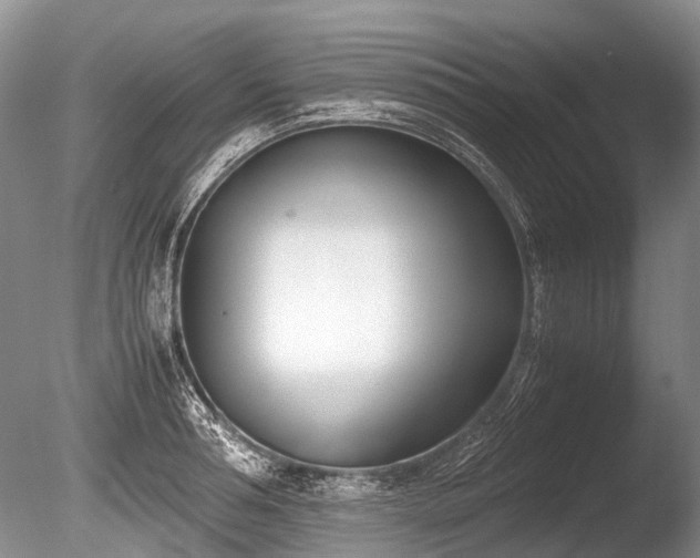 X0000086310994200703301146