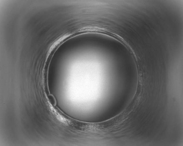 X0000086310995200703301146