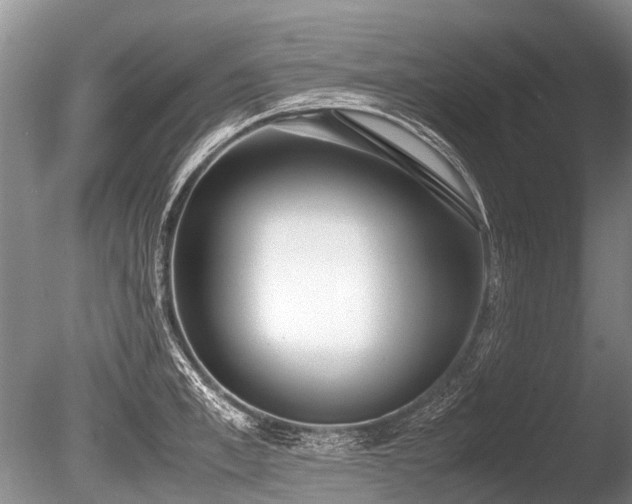 X0000086310997200703301146