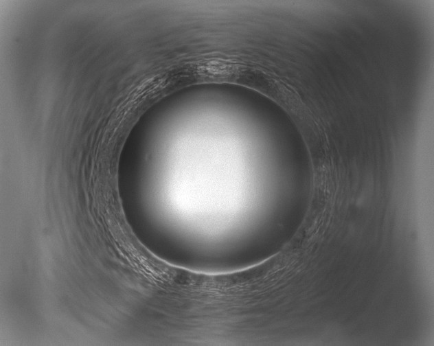 X0000086311009200703301145