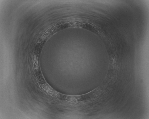 X0000086311013200703301145