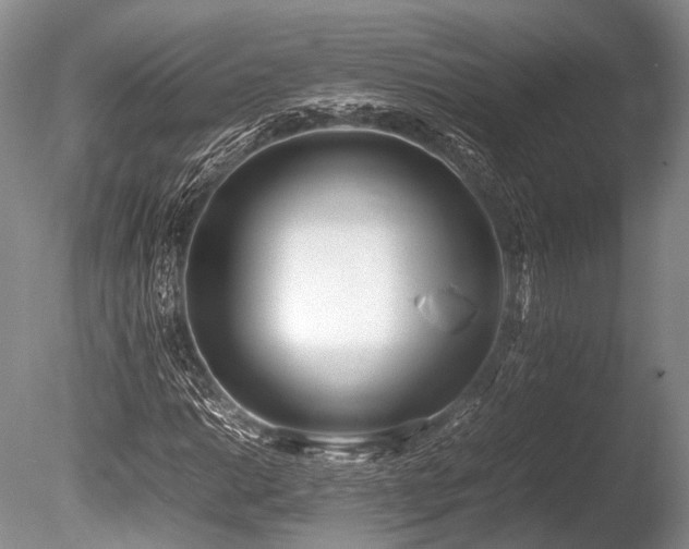 X0000086311014200703301145