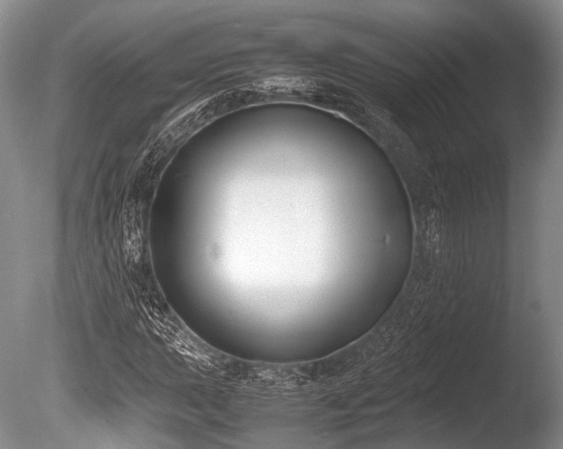 X0000086311015200703301145