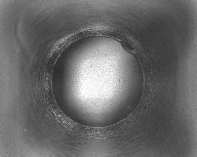 X0000086311016200703301145