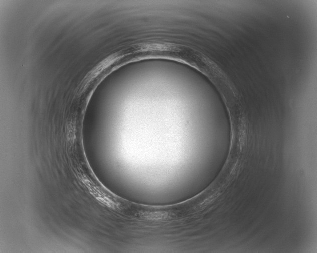 X0000086311017200703301145