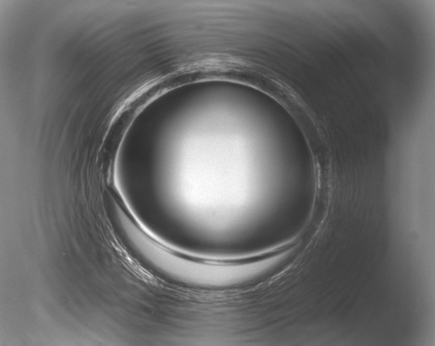 X0000086311018200703301145