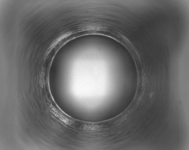 X0000086311019200703301145