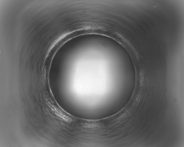 X0000086311021200703301145