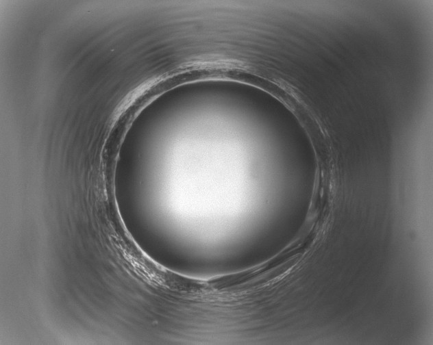 X0000086311022200703301145