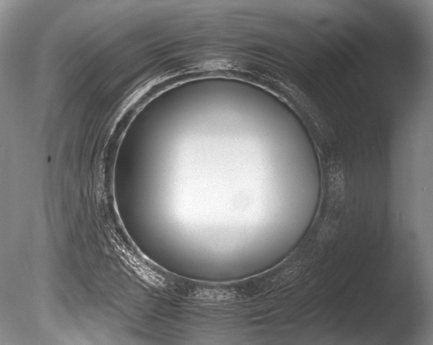 X0000086311023200703301145