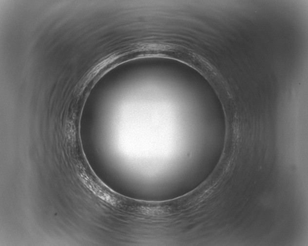 X0000086311025200703301145