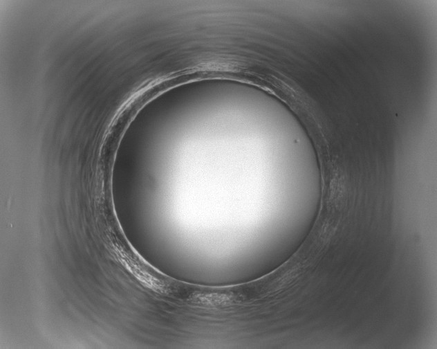 X0000086311027200703301145