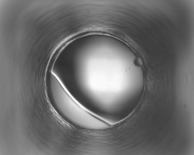 X0000086311028200703301145