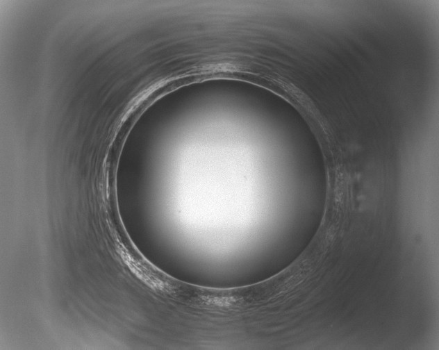 X0000086311031200703301145