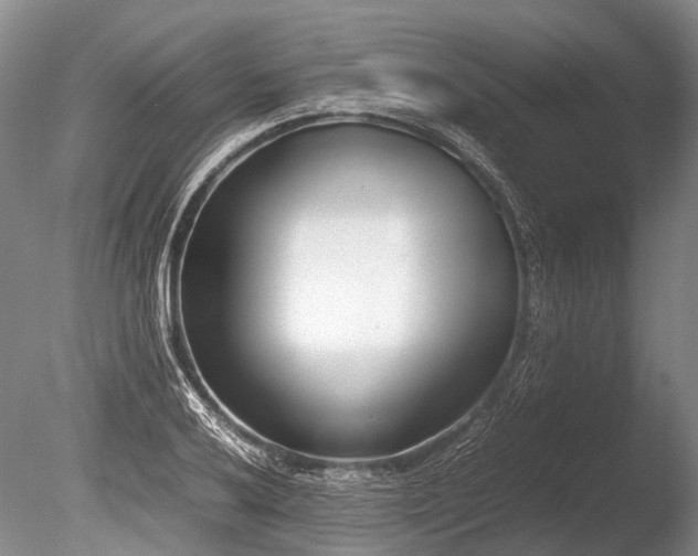 X0000086311032200703301145