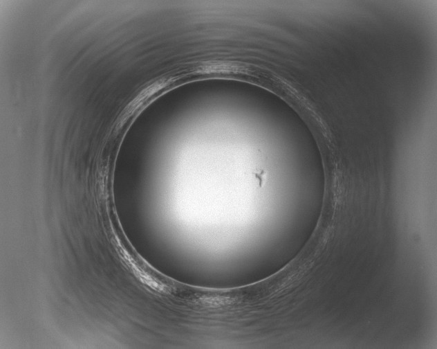 X0000086311033200703301145