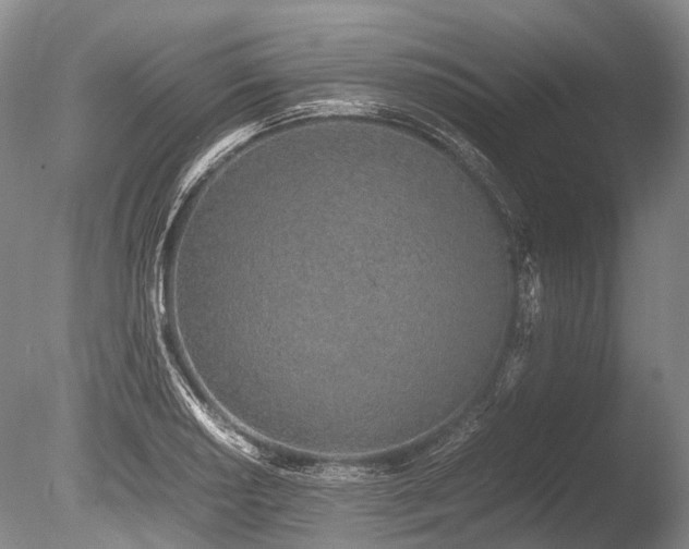 X0000086311034200703301145
